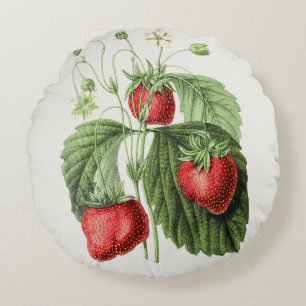 Coussins Ronds Illustration de fraise vintage