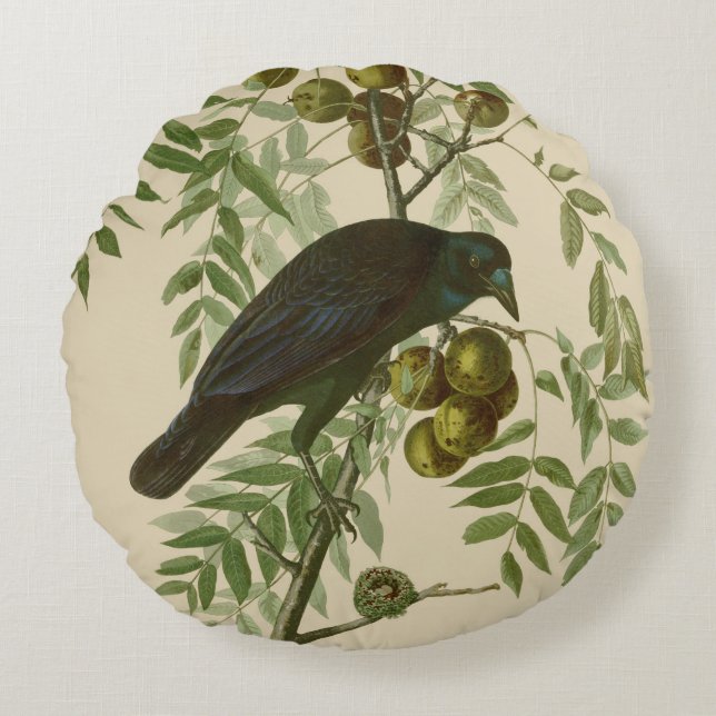 Coussins Ronds Impression d'oiseau Grackle Violet d'Audubon Botan (Devant)