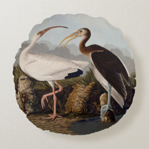 Coussins Ronds Impression d'oiseau Ibis blanc de John James Audub