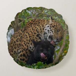 Coussins Ronds Jaguars In Love