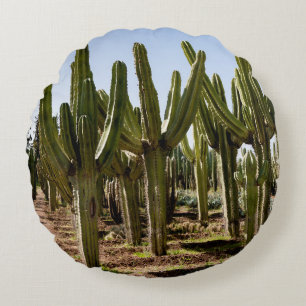 Coussins Ronds Jardin de cactus, paysage désertique tropical.