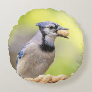 Coussins Ronds Jay bleu avec arachide