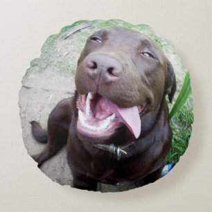 Coussins Ronds Joies Idiotes : chiot Labrador marron au chocolat,