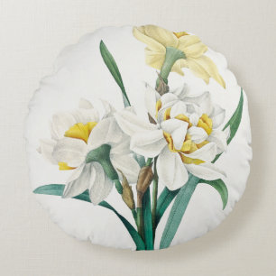 Coussins Ronds Jonquille double, Pierre-Joseph Redouté, 1827