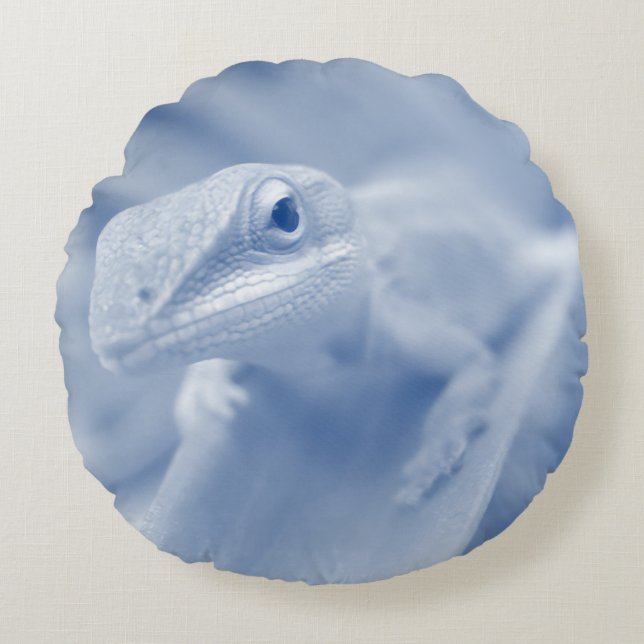 Coussins Ronds Joyeuse Anole (Devant)
