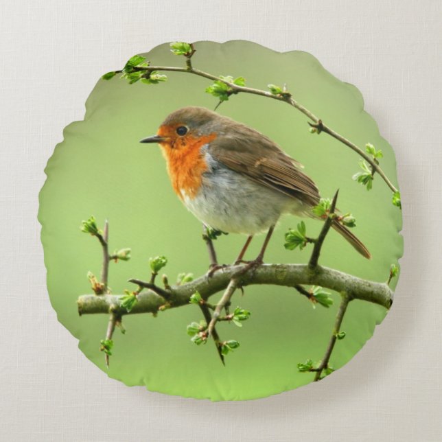 Coussins Ronds Le Robin (Devant)