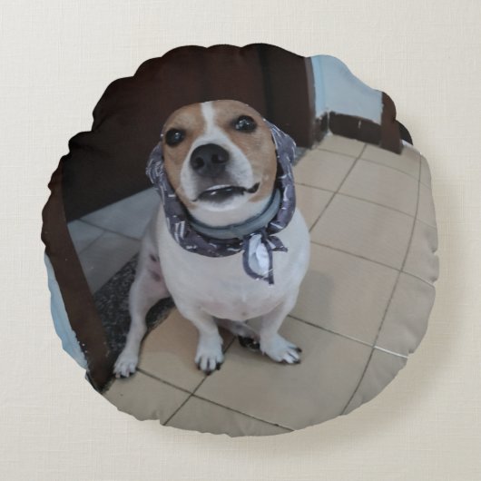 Coussins Ronds Leo the sweet and friendly jack russell (Devant)