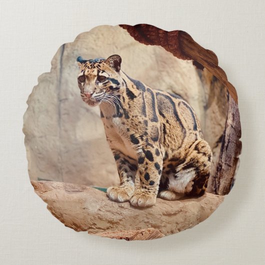 Coussins Ronds léopard nébuleux image nature faune exotique (Devant)