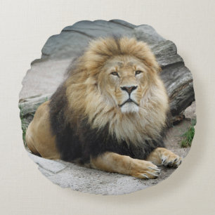 Coussins Ronds Lion 020