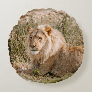 COUSSINS RONDS LION EN GRAS