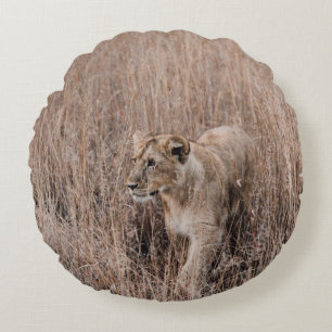 COUSSINS RONDS LION GRIS ET BROWN ENTOURÉ DE GRAS BROWN