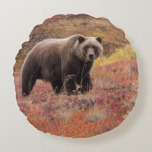 Coussins Ronds L'Ours Grizzli Parcourt Les Couleurs D'Automne En