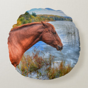 Coussins Ronds Magnifique Sorrel Mare & Lake View Equine Photo 2