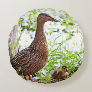 Coussins Ronds Mallard et Ducklings par Shirley Taylor
