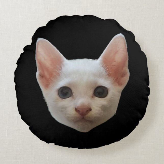 COUSSINS RONDS MEOWOO (Devant)