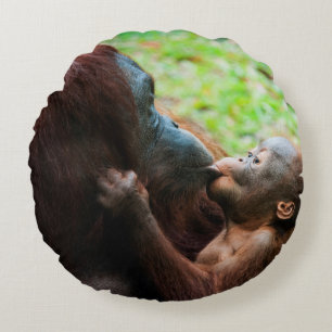Coussins Ronds Mère orang-outan et bébé