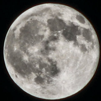 COUSSINS RONDS MOMZMOON