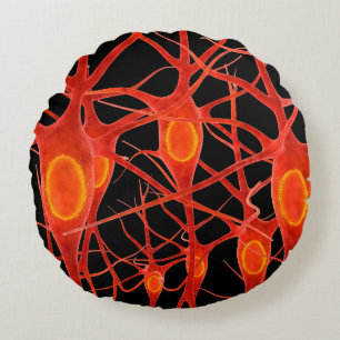 Coussins Ronds Neuronesneuronal,3d,anatomie,axon,bio,biologique,b