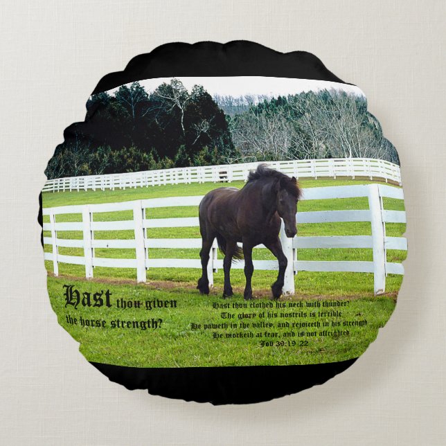 Coussins Ronds Nonesuch at Cedar Point w Job 39 (Devant)