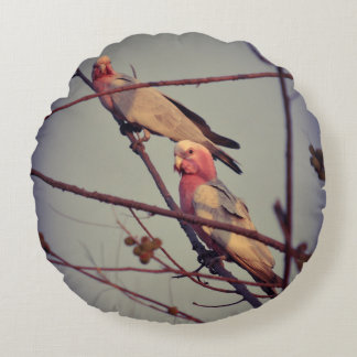 Coussins Ronds Oiseaux de Galah dans l'arbre 1