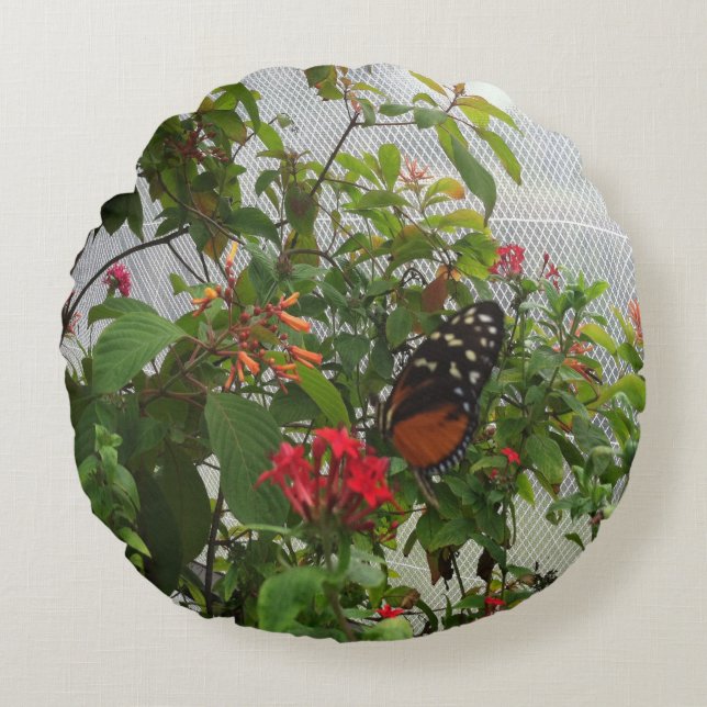 COUSSINS RONDS ORANGE BUTTERFLY (Devant)