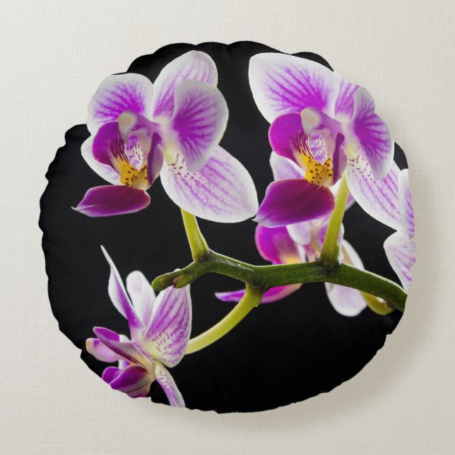 Coussins Ronds Orchidée blanche et violette (Devant)