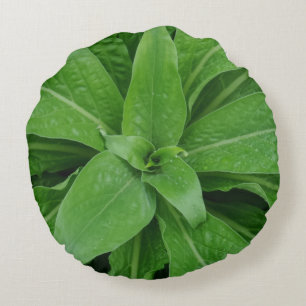 Coussins Ronds Oreiller Rond Plante Verte