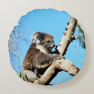 Coussins Ronds Ours De Koala Dans L'Ancien Pin,