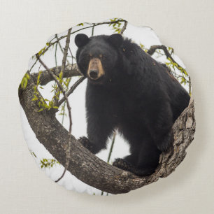 Coussins Ronds Ours noir Escalade