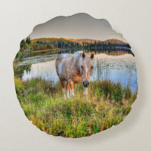 Coussins Ronds Palomino Pinto Paint Stallion au bord d'un lac