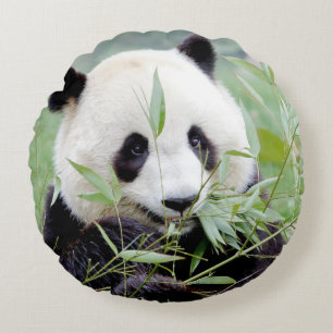 Coussins Ronds panda, le géant de la photo coussin.
