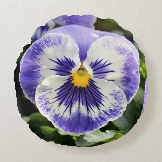Coussins Ronds Pansy (Devant)