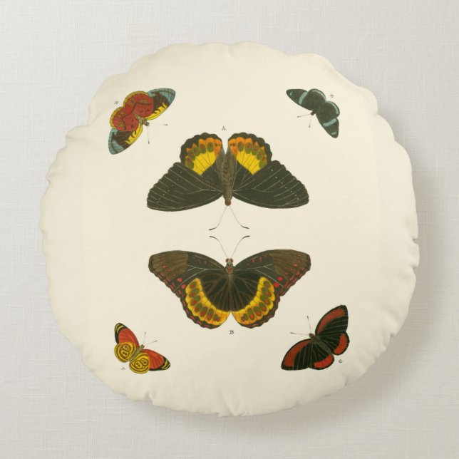 Coussins Ronds Papillons lumineux par Pieter Cramer (Devant)