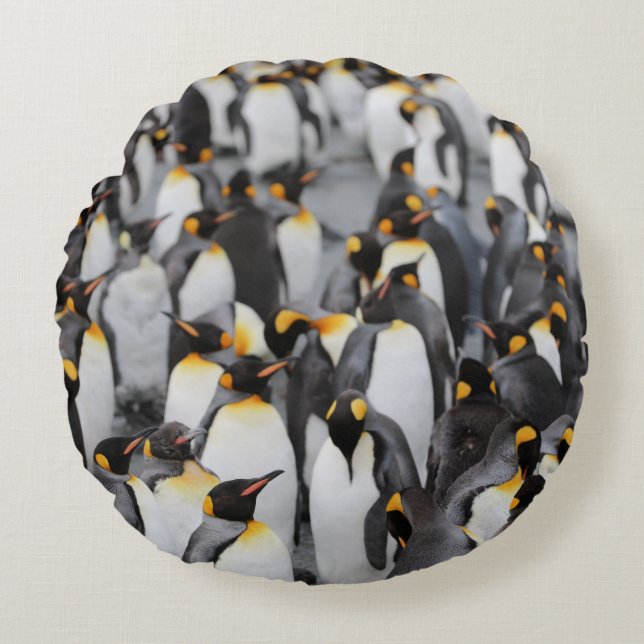 COUSSINS RONDS PENGUINS (Devant)