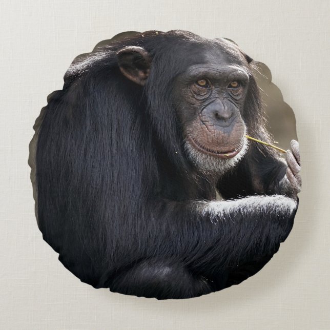 Coussins Ronds Pensez À Monkeying (Devant)