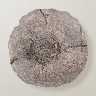 Coussins Ronds Photo d'arbre de palmier coupé en botanique