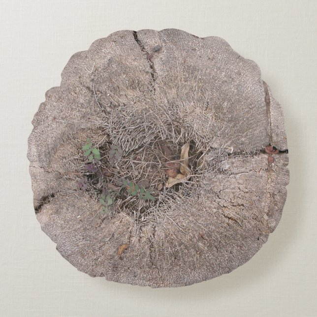 Coussins Ronds Photo d'arbre de palmier coupé en botanique (Devant)