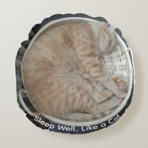 Photo de chat roux endormi rond