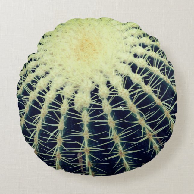 Coussins Ronds Photographie de cactus  (Devant)