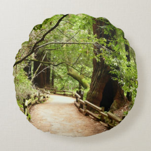 Coussins Ronds Photographie de la nature du chemin de Muir Woods