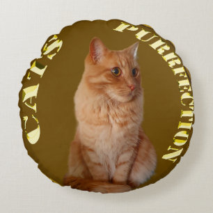 Coussins Ronds Pièce Or Chat Gingembre, Cuisine Ronde