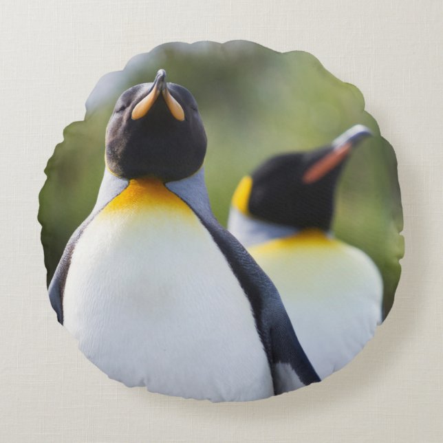 Coussins Ronds Pingouins (Devant)