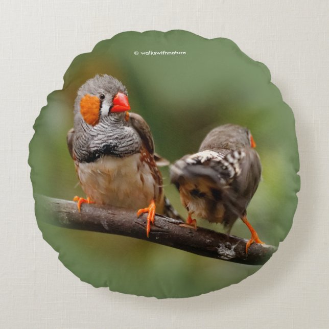 Coussins Ronds Pinsons zèbres effrontés oiseaux chanteurs sur une (Devant)