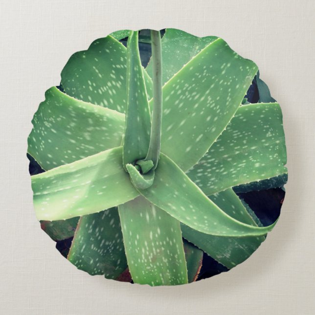 Coussins Ronds Plante d'Aloe Vera (Devant)