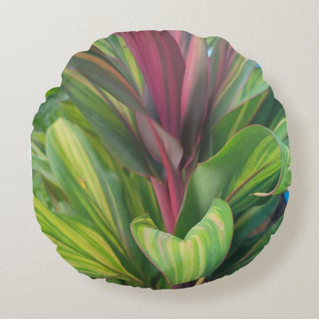 COUSSINS RONDS PLANTE PLUS (Devant)