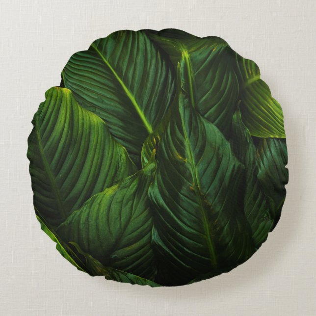 COUSSINS RONDS PLANTE VERT (Devant)