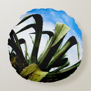 Coussins Ronds Plante vert en aloe avec ciel bleu clair