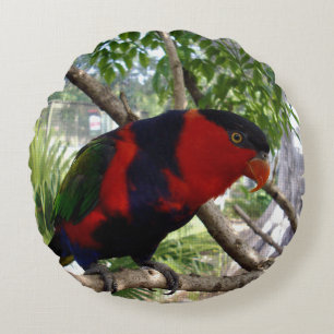 Coussins Ronds Plumes arc-en-ciel : Joli Lorikeet australien,