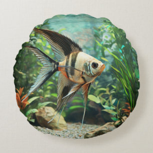 Coussins Ronds Poisson ange nageant dans un aquarium d'eau douce