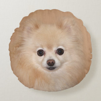Coussins Ronds Pomeranian font face